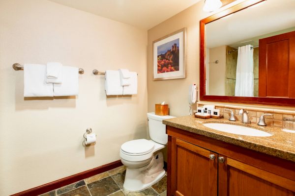 A well-lit bathroom with a toilet, a wooden vanity, two towel racks, a framed picture on the wall, and a mirror above the sink.