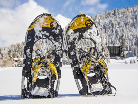 Two snowshoes stand upright in the snow against a backdrop of a snow-covered forest and a partly cloudy sky.