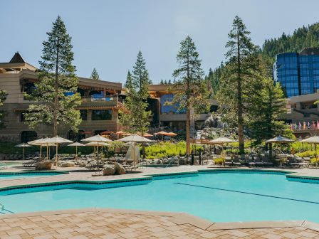 A beautiful outdoor pool area surrounded by tall trees, lounge chairs, and umbrellas with a large building in the background ending the sentence.