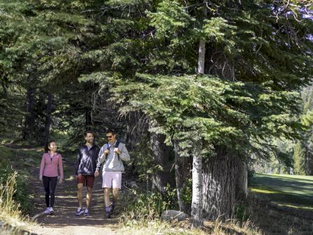 Three people are walking on a trail through a forested area, surrounded by tall trees and greenery, wearing casual outdoor clothing.