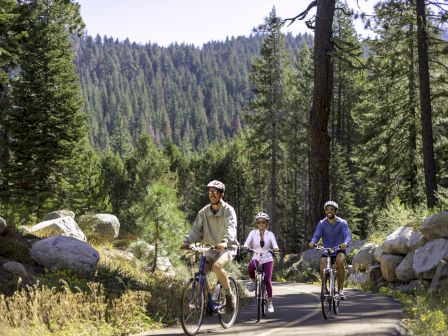 Three people are biking on a forest trail surrounded by trees and rocks. They are wearing helmets, and a beautiful mountainous landscape is in the background.