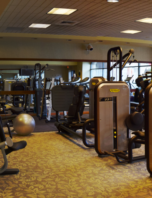 The image shows a well-equipped gym with various exercise machines, weights, and a large mirror on the wall.