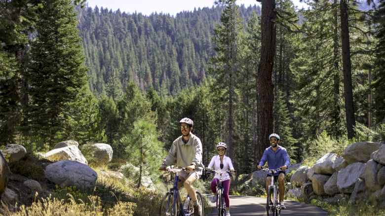 Three people are riding bicycles on a forested trail, surrounded by tall trees and large rocks, under a clear sky.